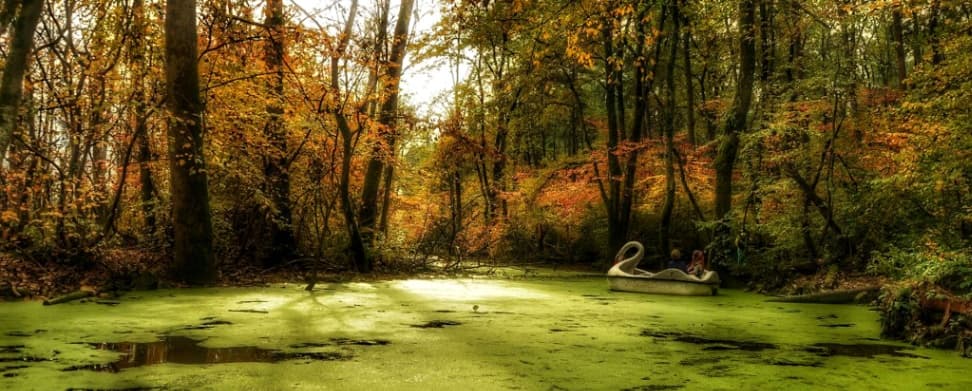 تور یک و نیم روزه ساحل و جنگل گیسوم سراوان