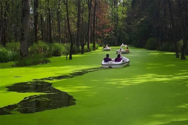 تور یکروزه ماسوله و مرداب سراوان