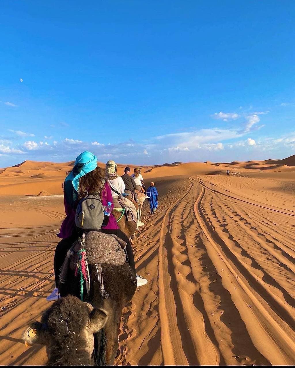 تور ۲.۵ روزه کویر مصر