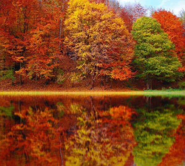 تور یکروزه دریاچه پاییزی برنجستانک