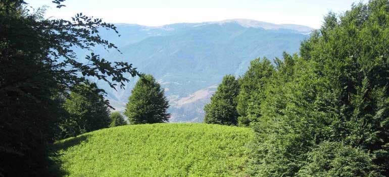 تور یکروزه درفک